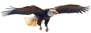 anieaglechristian.gif (44091 bytes)